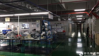 鳳崗鎮(zhèn)布心新出無(wú)塵車間3200平方