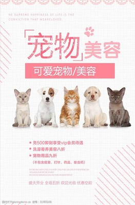 簡(jiǎn)約可愛(ài)寵物美容海報(bào)