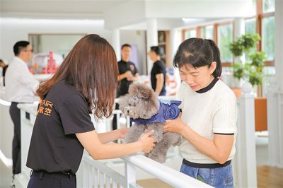 寵物友好服務(wù) 為愛(ài)寵提供全方位關(guān)懷