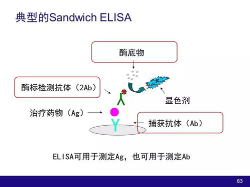 生物技術(shù)產(chǎn)品及大分子物質(zhì)開發(fā)中的藥動學(xué)與藥效學(xué)考量